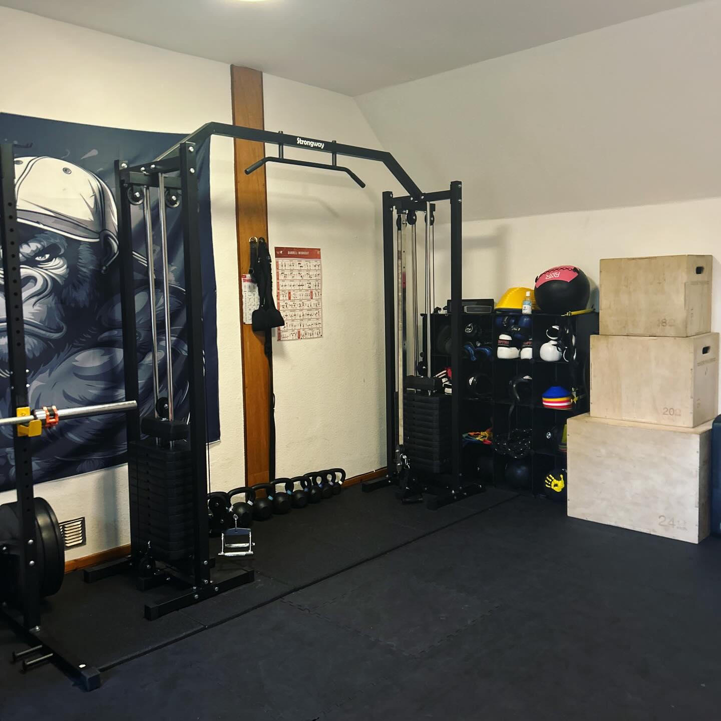 12-Week Core Rebuild